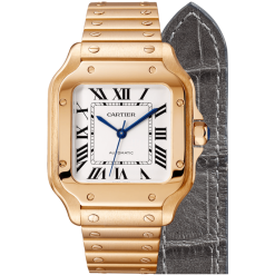 Santos De Cartier WGSA0008 Watch