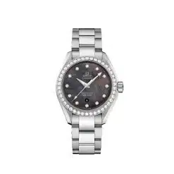 Omega 231.15.34.20.57.001 Aqua Terra